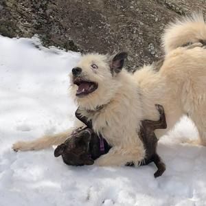 Meet your Posher, Maggie